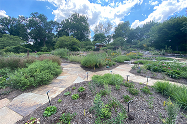 Prairie garden